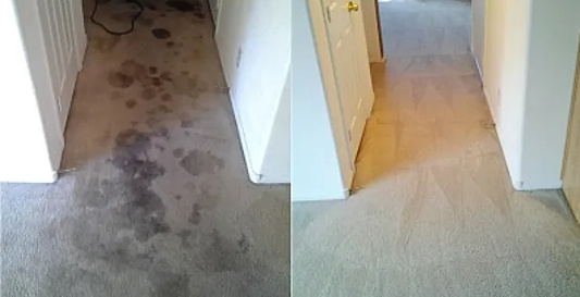 Proficient Clean Carpet Cleaning Las Vegas